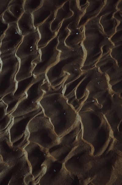 Climate Summit 2025: World Leaders Pledge Action cover image